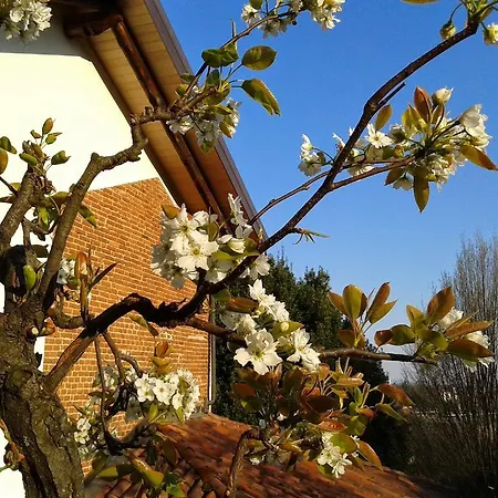 Guest House Cascina Belsito Bed & Breakfast