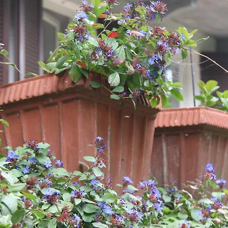 Guest House Cascina Belsito Biella